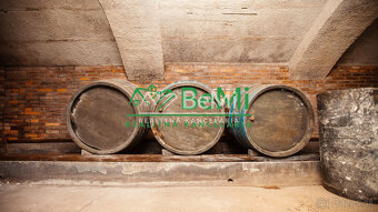 RODINNÝ DOM S EXKLUZÍVNOU PIVNICOU - 7