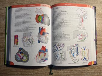 MEMORIX HISTOLOGIE A ANATOMIE - 7