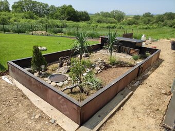 Suchozemská korytnačka-vlastný odchov 2025 - 7