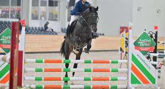 Cornet obolensky & Diamant De semilly - 7