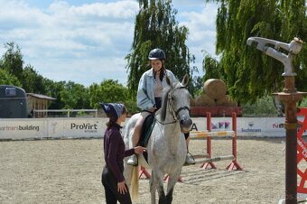 Skvely 14 rocny valach na prenajom - 7