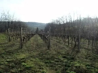 Investičný pozemok Krasňany BA III. - 7