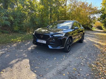 Cupra Formentor 2.0 TDI 150k 4Drive DSG - 7