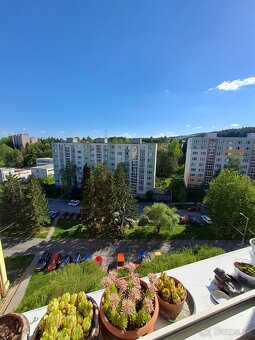 1 izbový byt typu Bauring v Banskej Bystrici, ulica Tulská - 7