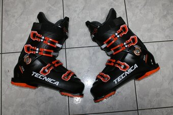 lyže Fischer 178 cm , drevo , titan - 7