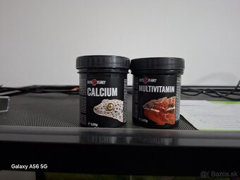 Predam terarium reptiplanet - 7