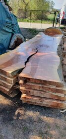 Platanove drevo. - 7