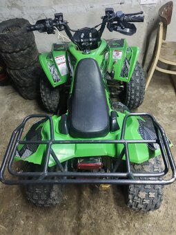 Štvorkolka 110ccm - 7