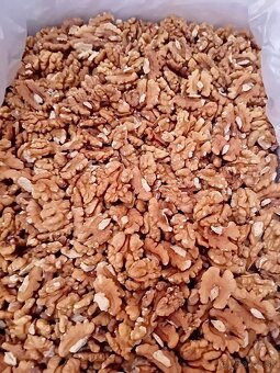 Orechy vlašské tohtoročné - 7