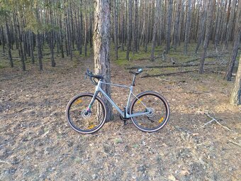 Gravel Bergamont Grandurance Expert 57 - 7