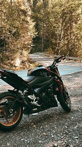 Suzuki GSX-S1000 - 7