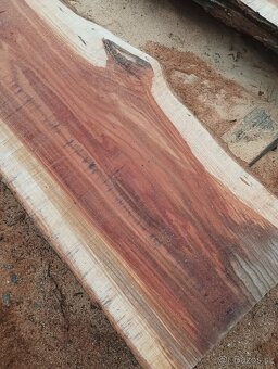 Brastové forsty - 7