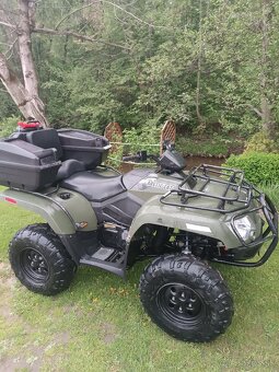 Arctic cat - 7