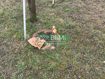 Pozemok Štitáre (800 m2) ,v slepej uličke pod lesom ID 539- - 7