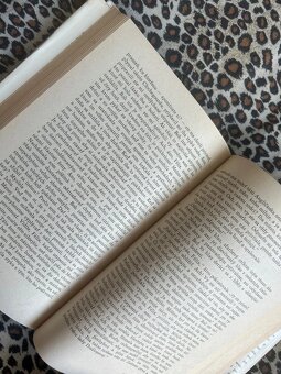 Ľalia v údolí - Honoré de Balzac - 7