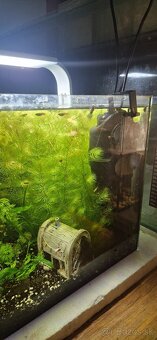 Akvárium 45l - 7