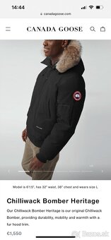 Canada Goose - 7