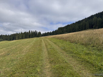 Predaj, investičný pozemok, veľkosť 2002 m2, k.ú. Vojňany, - 7