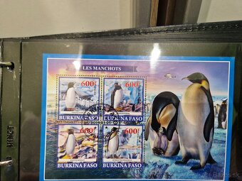 Zberatelsky Album s Arsikmi - 7