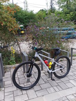 Focus whistler 3.8 - 7