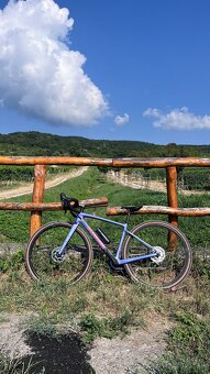 Specialized Diverge Sport - 7
