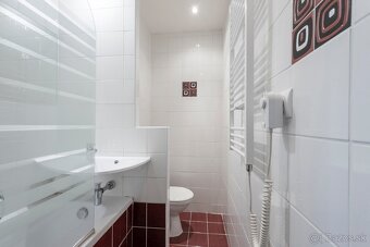 Jednoizbový byt - 7