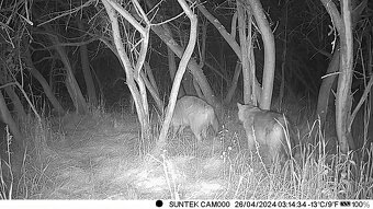 Fotopasca Suntek hc900m - 7