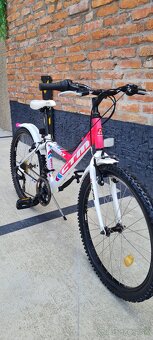 Bicykel Ctm 24" willy pink dievcensky ruzovy - 7
