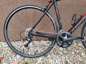 Predam Merida scultura 5500 - 7