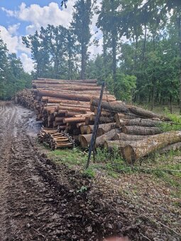 Dubové drevo_Vykurovanie_Predaj_Doprava_19112025 - 7