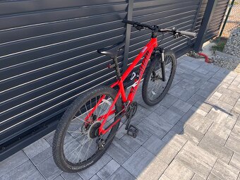 SPECIALIZED - 7