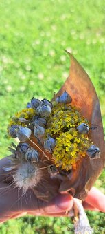 🌾Mala kytička žltá slamienka, zajačí chvost a lúčne kvety - 7