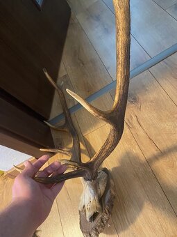 Predam polovnicke veci - 7