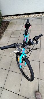 Bicykel Dema Iseo 24" tykysová - 2021 - 7