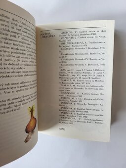Rastislava Stoličná - Jedlá a nápoje našich predkov - 7