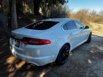 Jaguar - 7