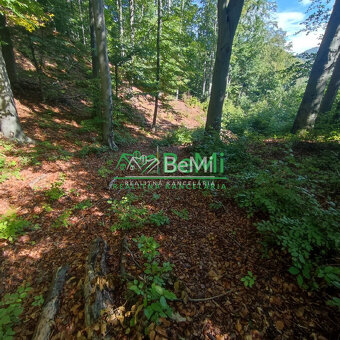 Rekreačný pozemok v Tajove na predaj ID: 015-14-STKa - 7