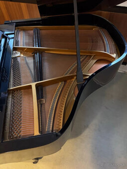 Detské krídlo Grotrian-Steinweg 1933 - 7