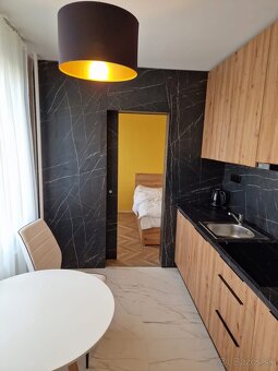 Apartman vedľa AU PARKU Košice - 7