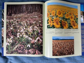 Kniha Košický kraj Alexander Jiroušek - 7