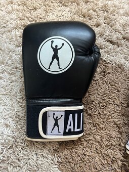 Boxerské rukavice ALI - 7