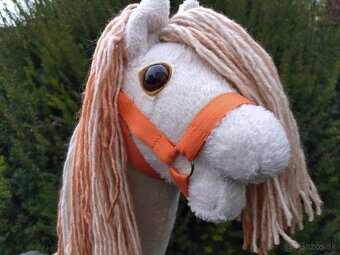 Hobby horse - 7