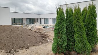 Tuja Smaragd, vavrínovec, červienka, gaštan - Námestovo - 7