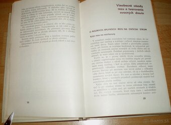 Rez a tvarovanie ovocných drevín - 7