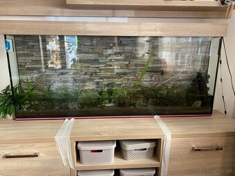 Predám akvárium - 7