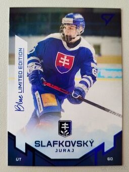 Hokejové kartičky - SLAFKOVSKÝ, REGENDA, NEMEC - 7