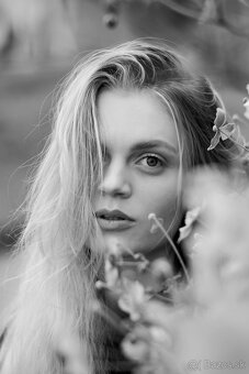 Leica Summicron R 2/90mm - 7