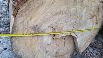 Lipove drevo kmene - 7