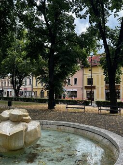 Historický dom v centre SNV – 2 byty + 15 prevádzok - 7