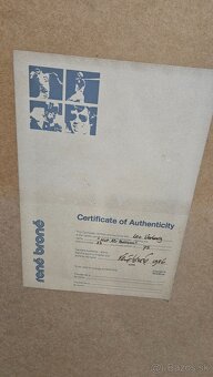 Predam obraz  let balonom - 7